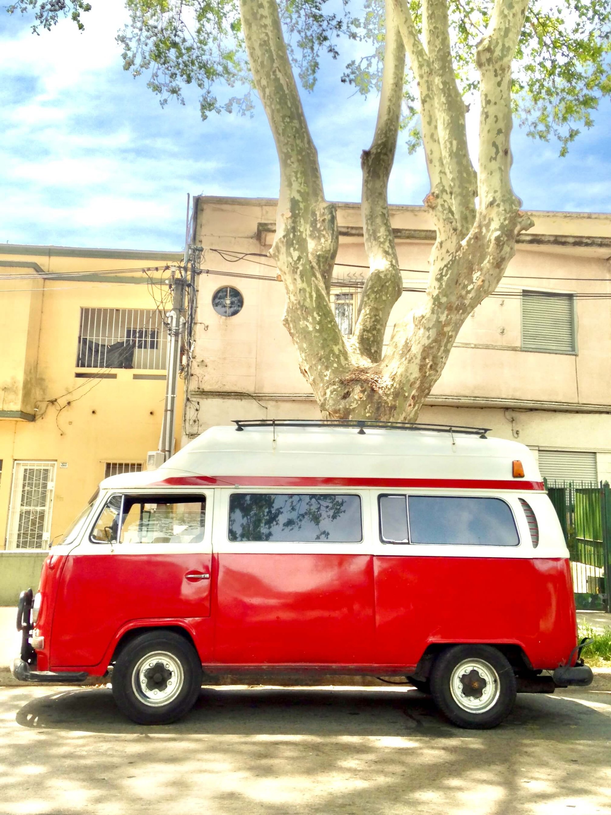 Kombi #esplendorosa